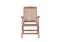 Sillon reclinable  Naga