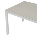 Mesa de comedor Adin 200*90 alum.blanco cristal gris claro