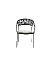 SILLA CON BRAZOS APPELTON ALUMINIO NEGRO  Y TRENZADO NEGRO
