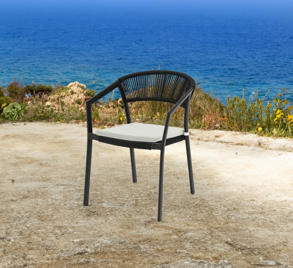 SILLA CON BRAZOS APPELTON ALUMINIO NEGRO  Y TRENZADO NEGRO