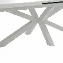 100301116-(5).webp