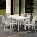 Syme collection (2).webp
