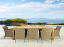 Sillon con brazos Trinity aluminio y rattan sintetico