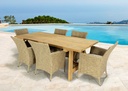 Sillon con brazos Trinity aluminio y rattan sintetico