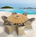 Sillon con brazos Cordoba aluminio y rattan sintetico