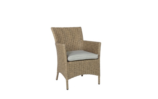 [100102005] Sillon con brazos Trinity aluminio y rattan sintetico